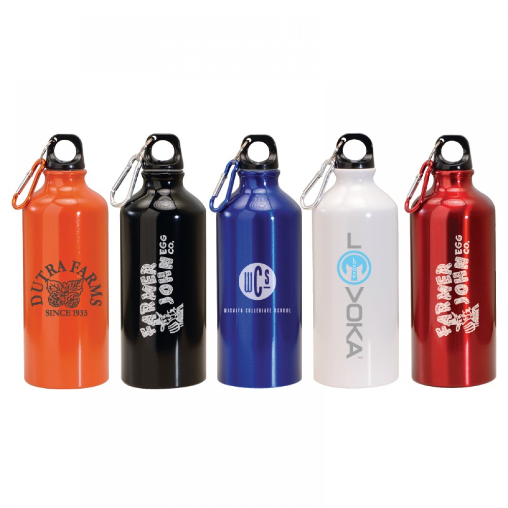 Custom Logo 20 oz. Aluminum Water Bottle w/Carabiner